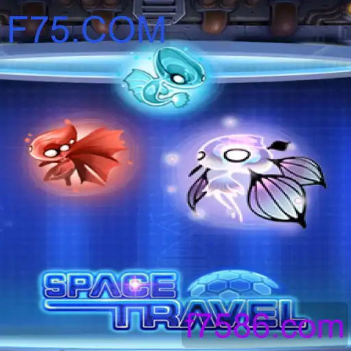 SpaceTravel